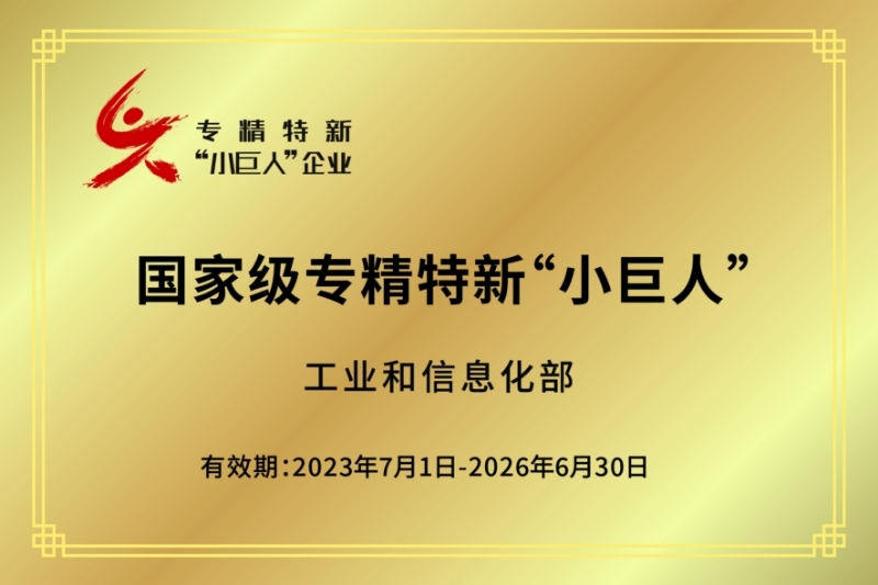 專精特新 小(xiǎo)巨人(rén).jpg